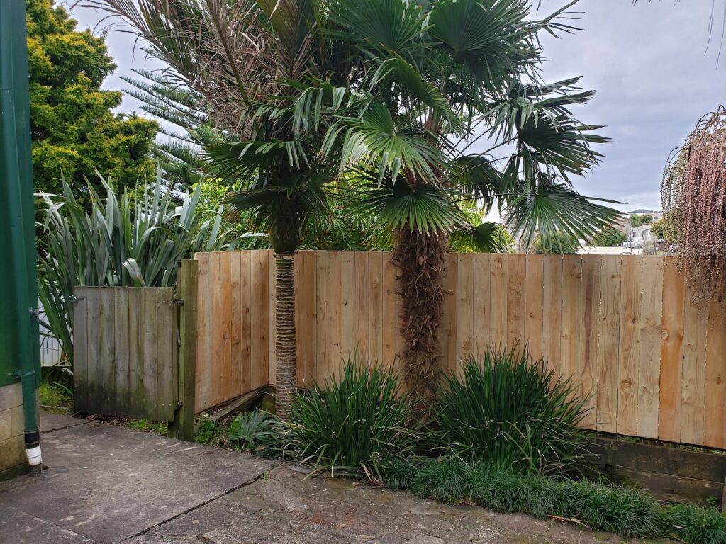 After fence fixed, weeds removed looking tidy