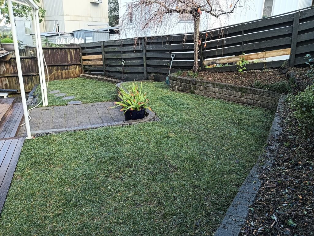 After - new lawn, self seeded plants removed. New flowering plants planted